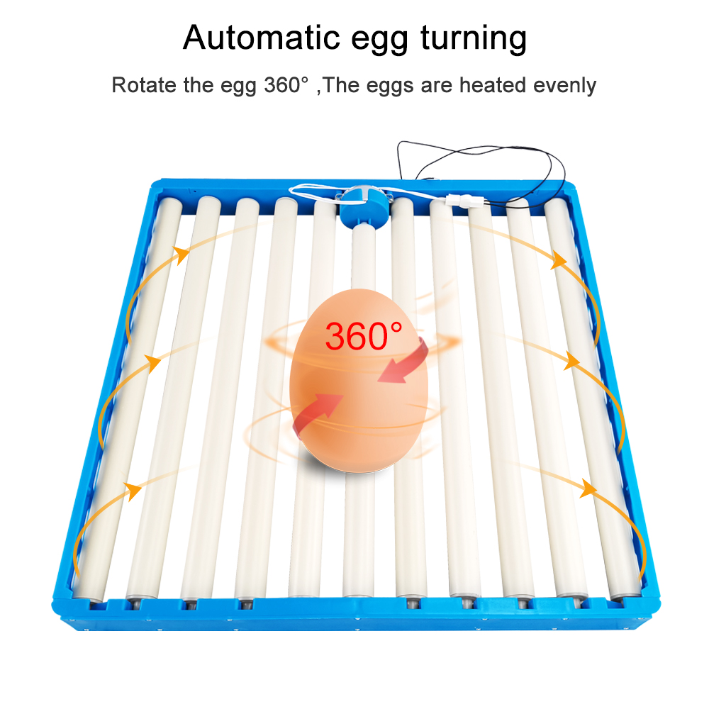 Inkubator 70 jaj automatyczny  – Hunting Quail recenzja i cena