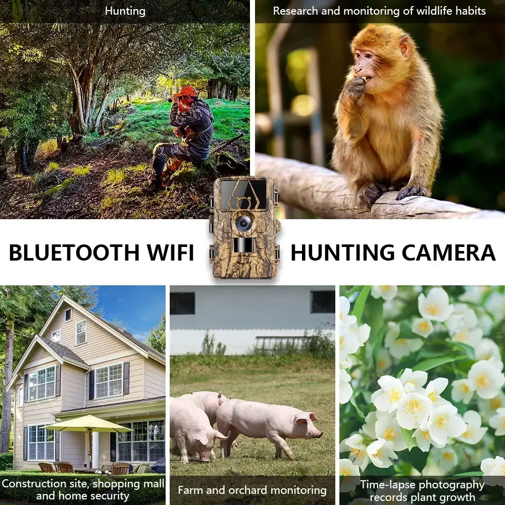 Kamera leśna PR801W WIFI 8K 60 – Outdoor Hunting Digital Night Vision recenzja i cena