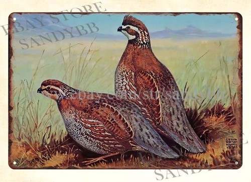 Metalowy szyld blaszany z lat  – Hunting Quail recenzja i cena